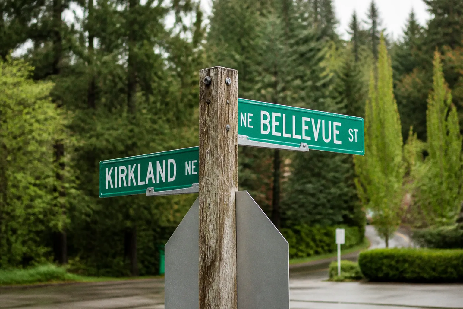 Bellevue vs Kirkland: Choosing the Right Suburb