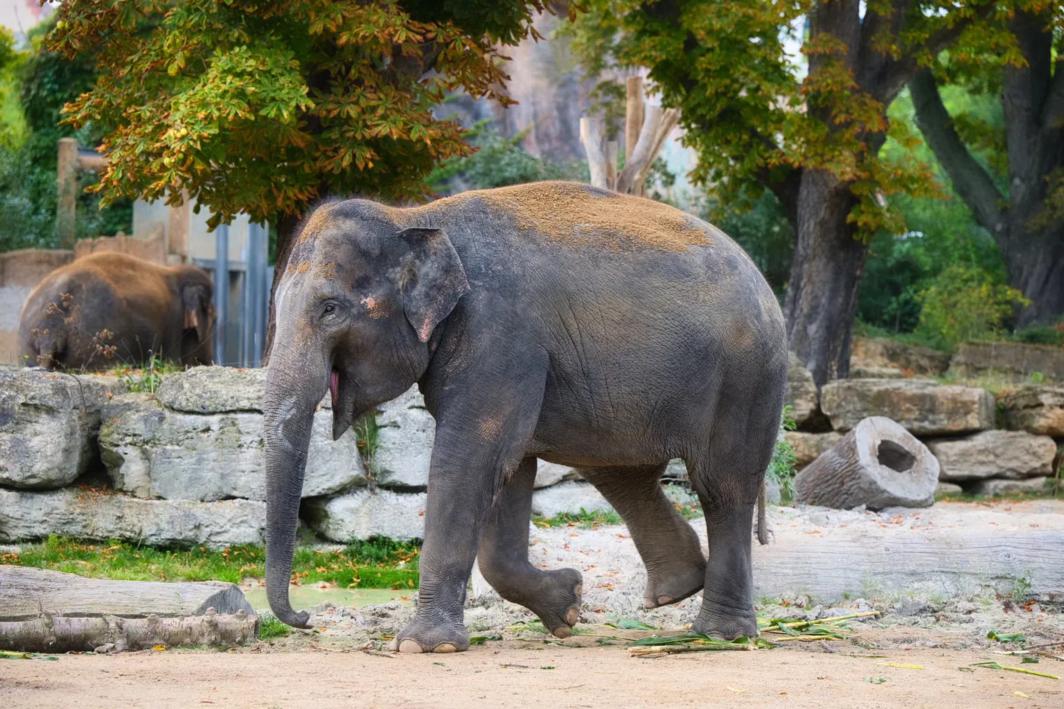 Leipzig Zoo entry: a step-by-step ticket acquisition plan