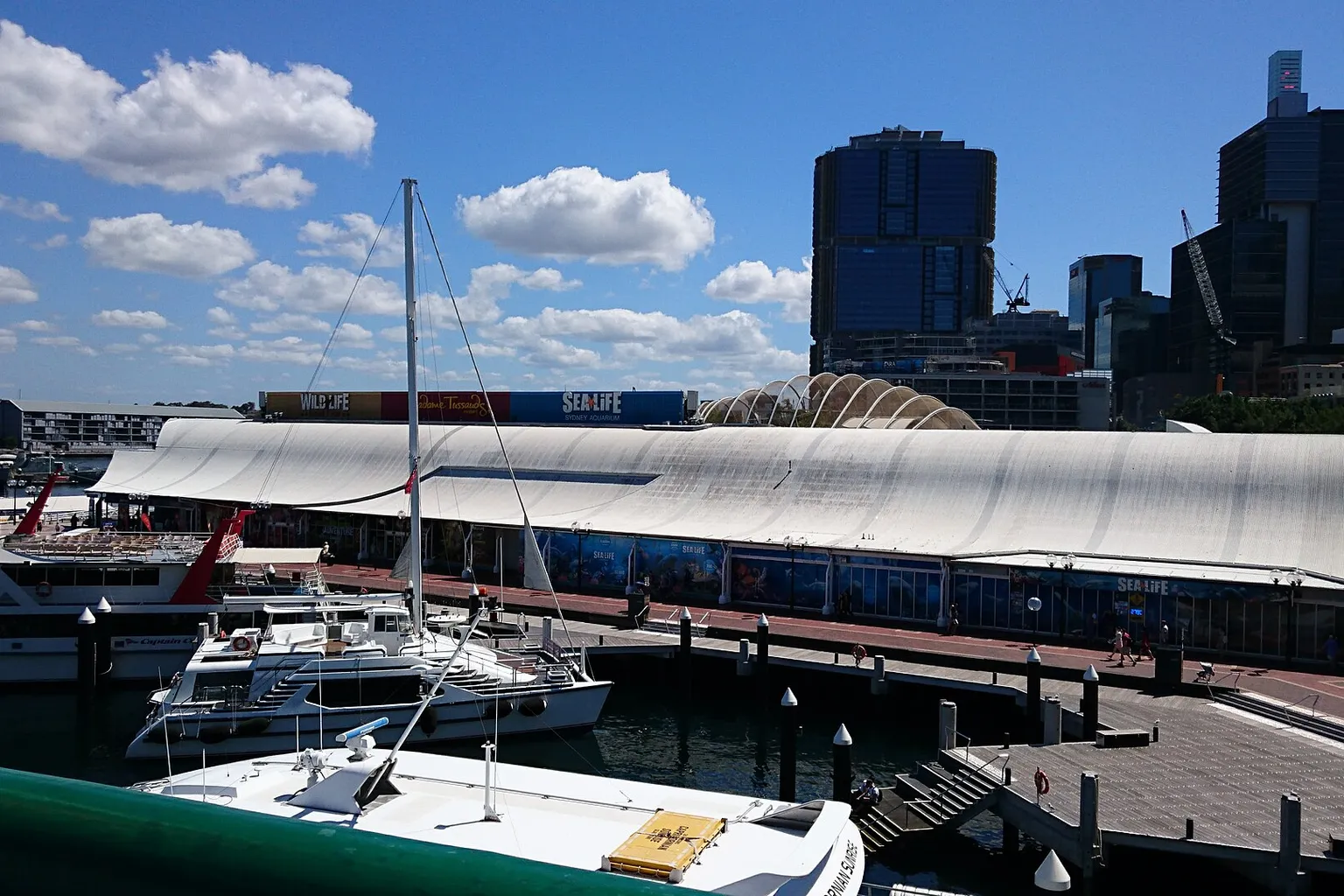 SEA LIFE Sydney Aquarium tickets: 4 smart ways to book