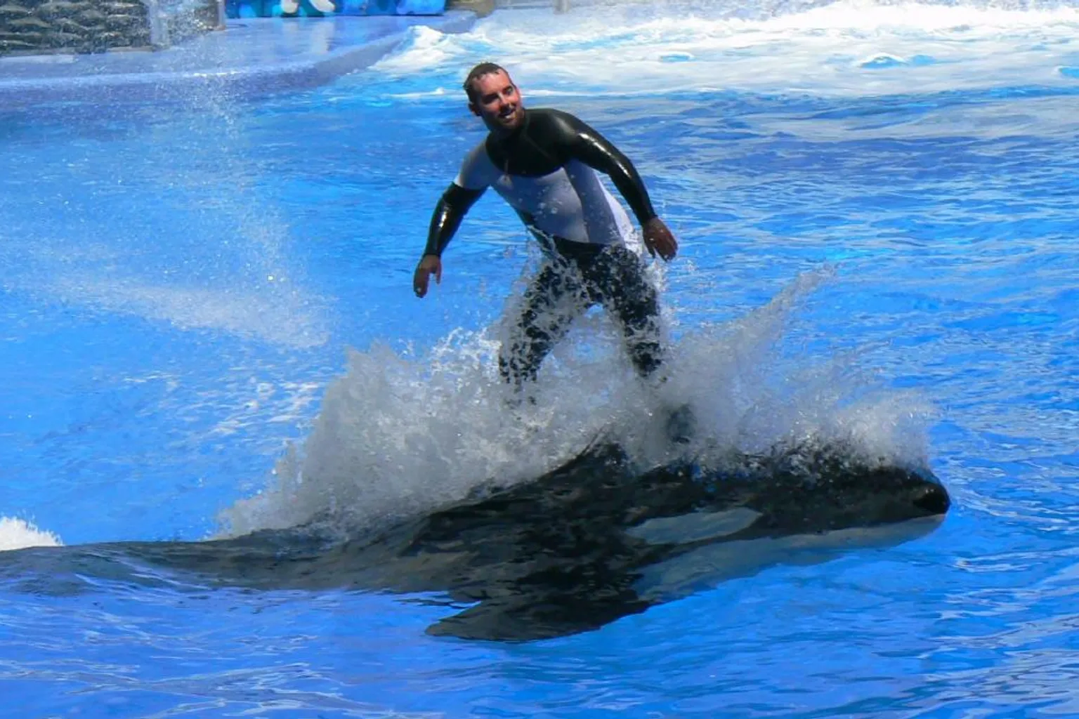 SeaWorld Orlando tickets: A step-by-step buying plan