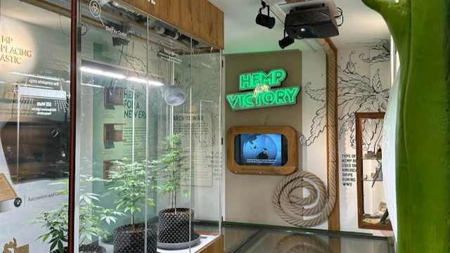 Cannabis Museum