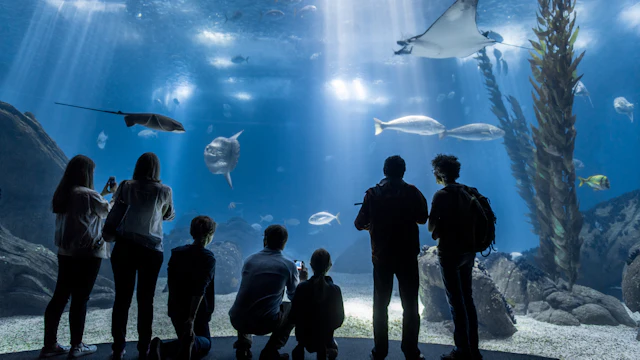 Lisbon Oceanarium