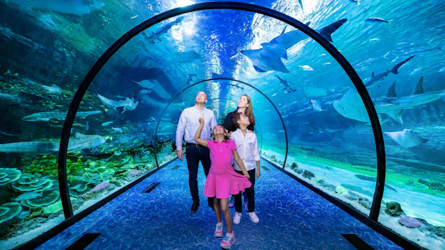 The National Aquarium Abu Dhabi